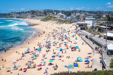 Newcastle Scenic Explorer - 2 Hour Tour By Minibus - Tourism Canberra 6