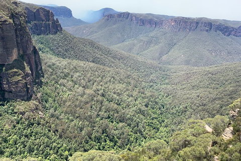 Blue Mountains Private Bus Tour From Sydney, Plus Featherdale Aussie Animal Park - Tourism Canberra 3