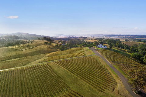 Audrey Wilkinson Vineyard: Fromage And Fortified Wine Experience - Tourism Canberra 1