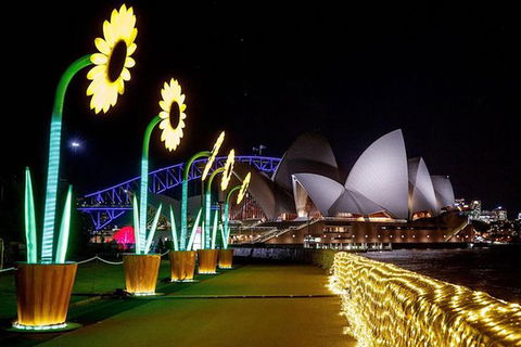 Private Vivid Sydney Harbour Cruise For Up To 20 Guests - Tourism Canberra 6