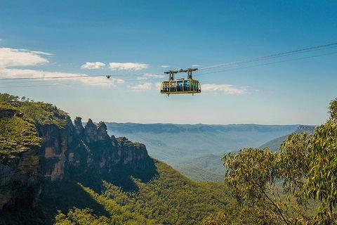 Blue Mountains Highlights, Wildlife Park And Scenic World Full Day Private Tour - Tourism Canberra 0