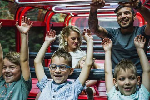 Blue Mountains Highlights, Wildlife Park And Scenic World Full Day Private Tour - Tourism Canberra 5