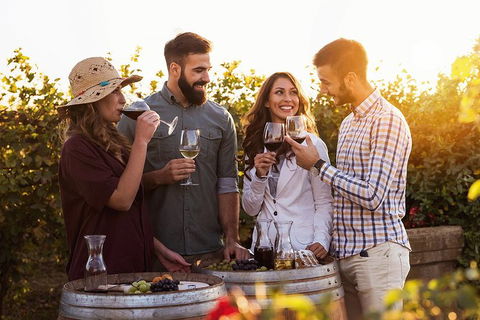 Hunter Valley Highlights Private Wine Tour From Sydney - Tourism Canberra 0