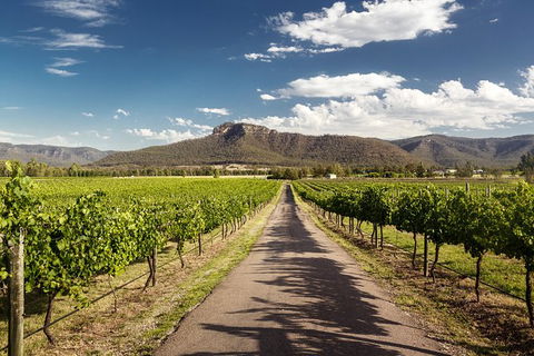 Hunter Valley Highlights Private Wine Tour From Sydney - Tourism Canberra 2