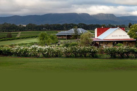 Hunter Valley Highlights Private Wine Tour From Sydney - Tourism Canberra 5