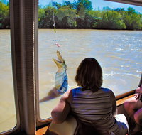 Jumping Crocs  Nature Adventure Cruise from Darwin - Tourism Canberra