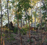 World War II Beyond Darwin - Tourism Canberra