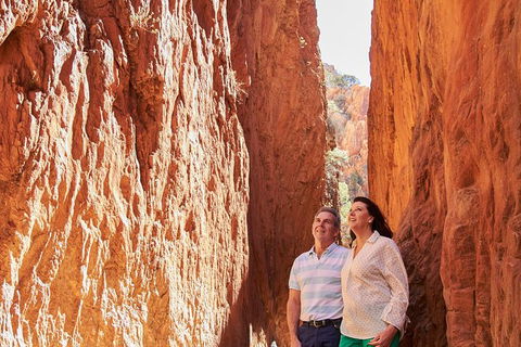 Best Of Alice Springs Full Day Tour - Tourism Canberra 4