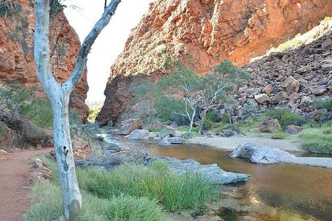 Alice Springs, Uluru Ayers Rock & Kings Canyon 8 Days Touring Package - Tourism Canberra 2