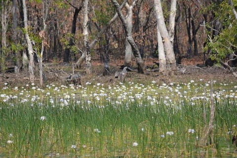 Darwin: Premium Litchfield Regional 11 Hours Tour - Tourism Canberra 4