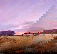Sunset Australian Barbecue Dinner in Uluru - Tourism Canberra