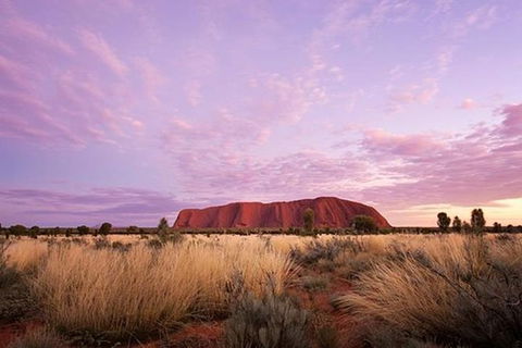 Sunset Australian Barbecue Dinner In Uluru - Tourism Canberra 0