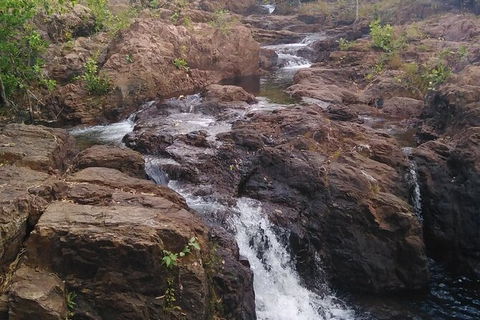 Full-Day Private Guided Tour To Litchfield National Park - Tourism Canberra 15