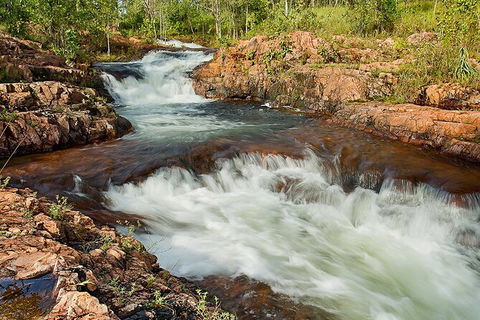 Full-Day Private Guided Tour To Litchfield National Park - Tourism Canberra 3