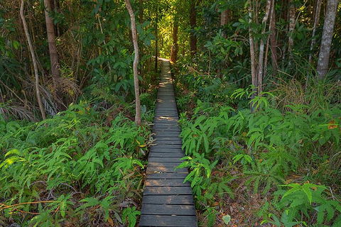 Full-Day Private Guided Tour To Litchfield National Park - Tourism Canberra 7