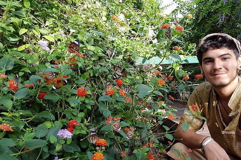 Full-Day Private Guided Tour To Litchfield National Park - Tourism Canberra 17