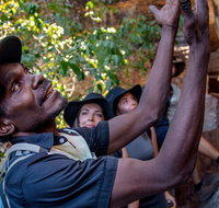 Arnhem Land Injalak Hill Full-Day Tour from Darwin - Tourism Canberra