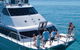 Great Barrier Reef Luxury Snorkel And Dive Cruise From Cairns - thumb 8