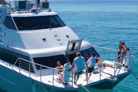 Great Barrier Reef Luxury Snorkel And Dive Cruise From Cairns - Tourism Canberra 8