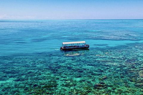 Great Barrier Reef Luxury Snorkel And Dive Cruise From Cairns - Tourism Canberra 6