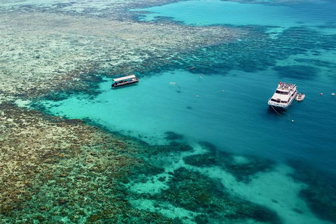 Great Barrier Reef Luxury Snorkel And Dive Cruise From Cairns - Tourism Canberra 4