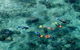 Great Barrier Reef Luxury Snorkel And Dive Cruise From Cairns - thumb 3
