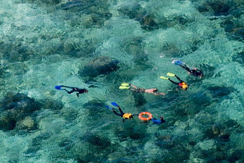Great Barrier Reef Luxury Snorkel And Dive Cruise From Cairns - Tourism Canberra 3