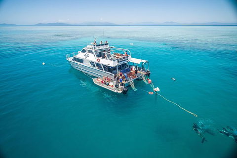 Great Barrier Reef Luxury Snorkel And Dive Cruise From Cairns - Tourism Canberra 2