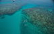 Great Barrier Reef Luxury Snorkel And Dive Cruise From Cairns - thumb 1