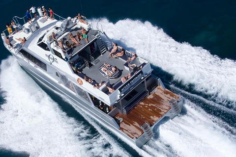Great Barrier Reef Luxury Snorkel And Dive Cruise From Cairns - Tourism Canberra 0