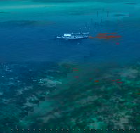Green Island  Great Barrier Reef Sailing Cruise from Cairns - only 25 guests - Tourism Canberra