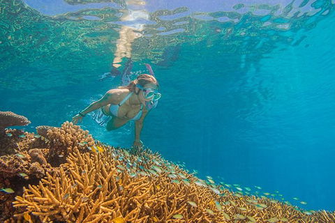 Passions Of Paradise Great Barrier Reef Snorkel And Dive Cruise From Cairns By Luxury Catamaran - Tourism Canberra 2