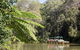 Best Of Kuranda Including Skyrail, Kuranda Scenic Railway And Rainforestation - thumb 3
