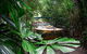 Best Of Kuranda Including Skyrail, Kuranda Scenic Railway And Rainforestation - thumb 1