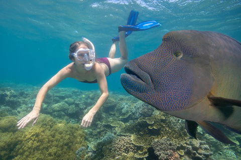 Outer Reef Pontoon Experience From Cairns - Tourism Canberra 5