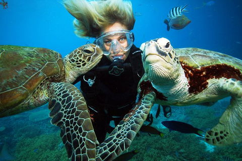 Outer Reef Pontoon Experience From Cairns - Tourism Canberra 4