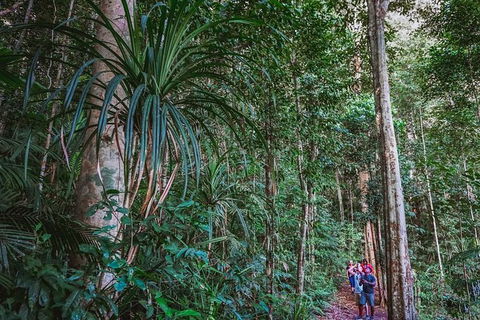 Atherton Tablelands Rain Forest By Night From Cairns - Tourism Canberra 0
