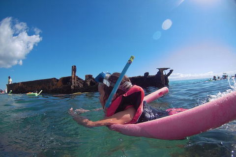 All Inclusive Dolphin And Tangalooma Wrecks Cruise - Tourism Canberra 8