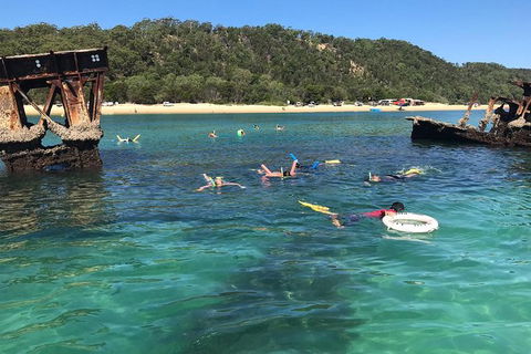 All Inclusive Dolphin And Tangalooma Wrecks Cruise - Tourism Canberra 9