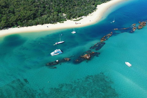 All Inclusive Dolphin And Tangalooma Wrecks Cruise - Tourism Canberra 3