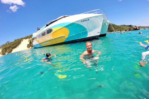 All Inclusive Dolphin And Tangalooma Wrecks Cruise - Tourism Canberra 0