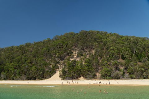 All Inclusive Dolphin And Tangalooma Wrecks Cruise - Tourism Canberra 4