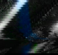 Mt Tamborine National Park 4WD Nocturnal Rainforest and Glow Worm Tour - Tourism Canberra