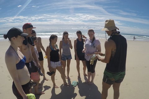 Half Day Dolphin Kayaking And Snorkeling Tour - Tourism Canberra 6