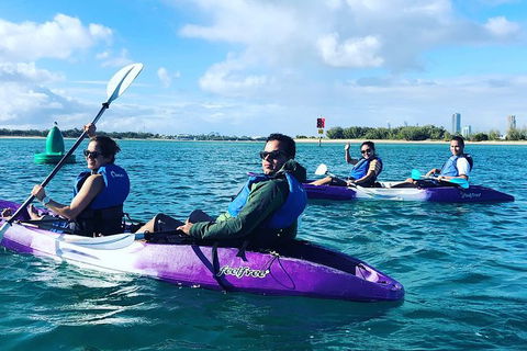 Half Day Dolphin Kayaking And Snorkeling Tour - Tourism Canberra 5