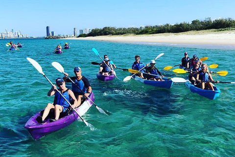 Half Day Dolphin Kayaking And Snorkeling Tour - Tourism Canberra 11