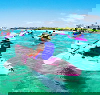 Half Day Dolphin Kayaking and Snorkeling Tour - Tourism Canberra