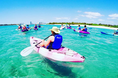 Half Day Dolphin Kayaking And Snorkeling Tour - Tourism Canberra 0