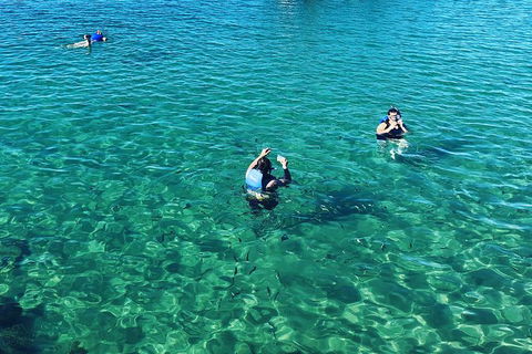 Half Day Dolphin Kayaking And Snorkeling Tour - Tourism Canberra 12