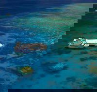 Great Barrier Reef Adventure from Cairns - Tourism Canberra